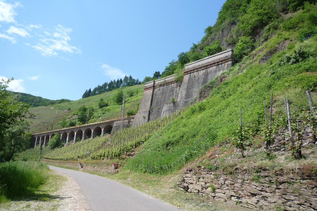 Homestay Weingut & Gaestehaus Mees