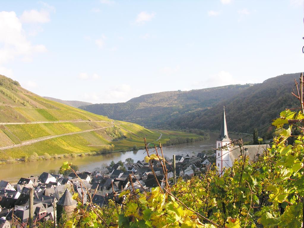 Weingut&gästehaus Mees