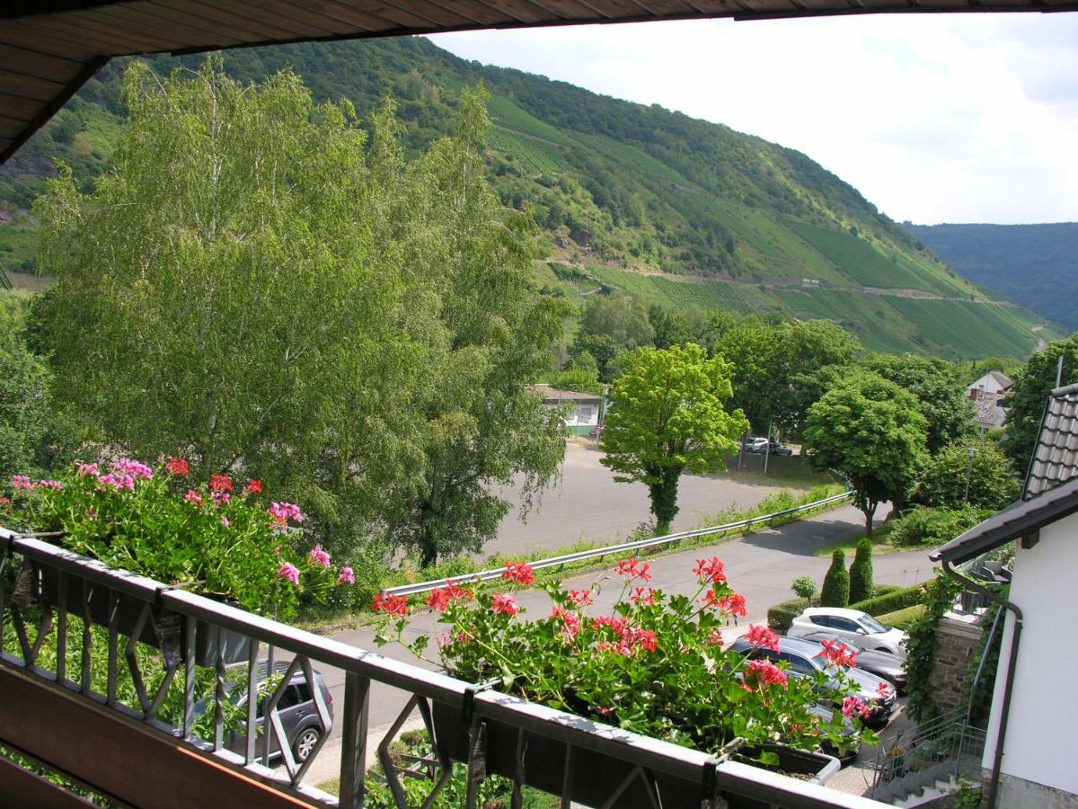 Weingut & Gaestehaus Mees